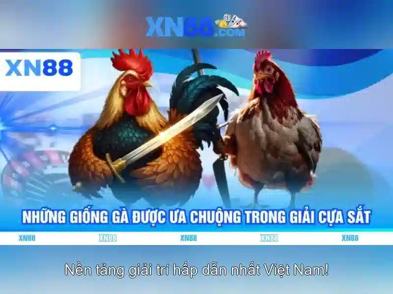 Xn88: một cái nhìn tổng quan về nền tảng cá cược trực tuyến
