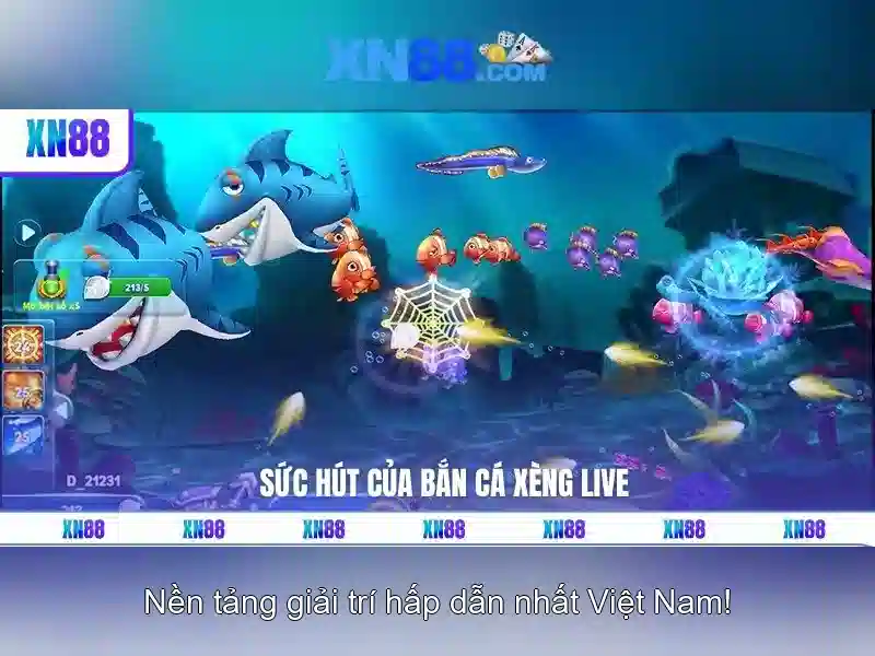XN88 là gì? XN88 là gì?
