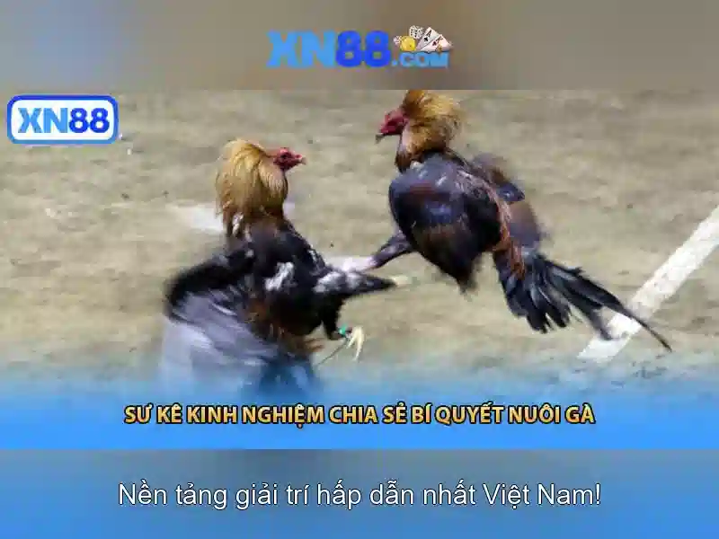 Các sản phẩm và dịch vụ