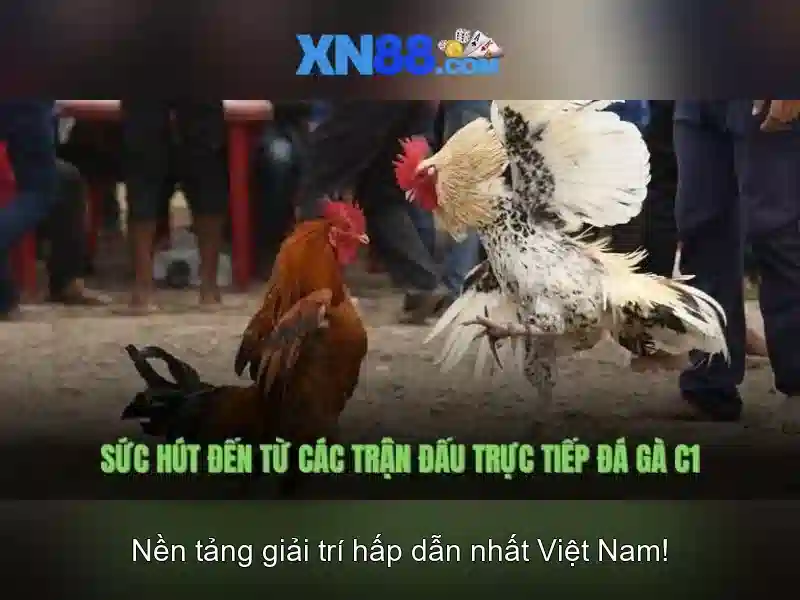 Tính an toàn và uy tín