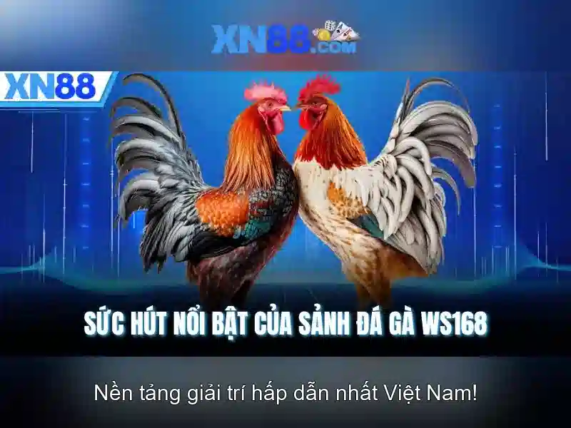 XN88: Nền tảng trò chơi trực tuyến an toàn và thú vị