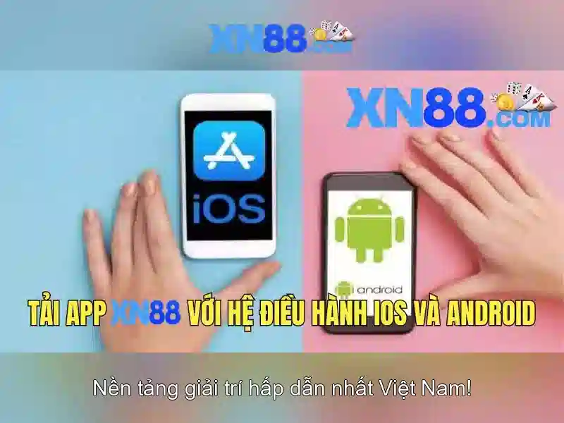 Nền tảng và dịch vụ nổi bật