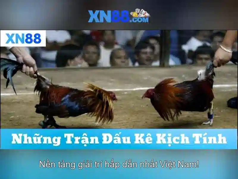 Mẹo chơi bắn cá 3 cây dễ ăn tiền nhà cái