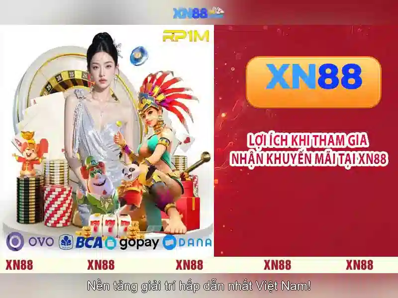 Những lưu ý pháp lý và sự cố thường gặp Những lưu ý pháp lý và sự cố thường gặp