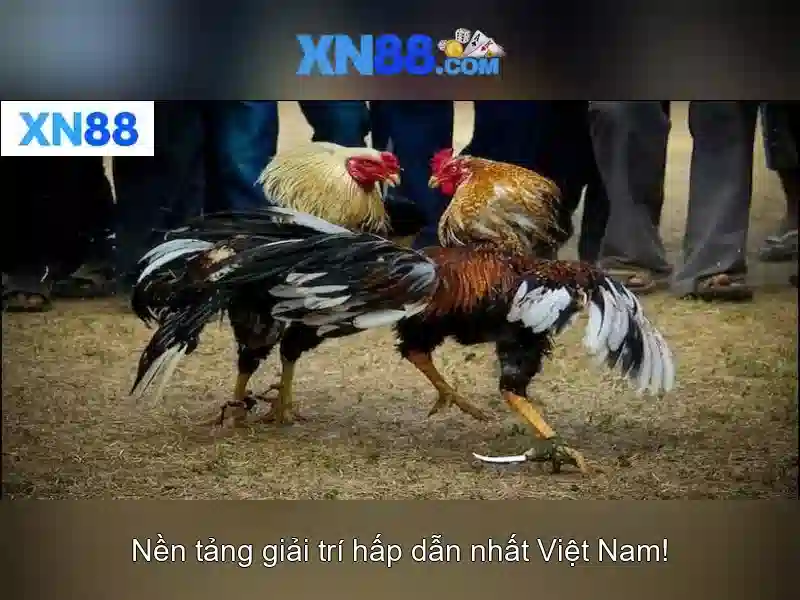 Kiểm tra tuân thủ PAGCOR 2026 