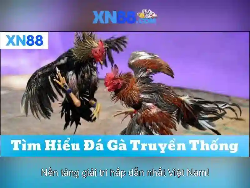xn88 - một nền tảng giải trí trực tuyến toàn diện