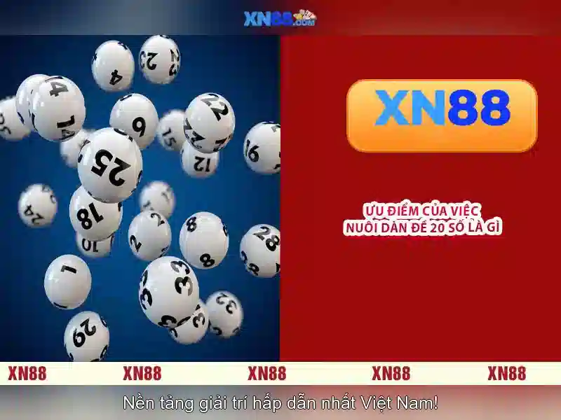 xn88: Giới thiệu và các dịch vụ nổi bật