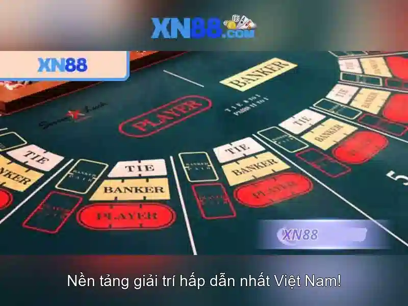Bình luận và hỗ trợ người dùng