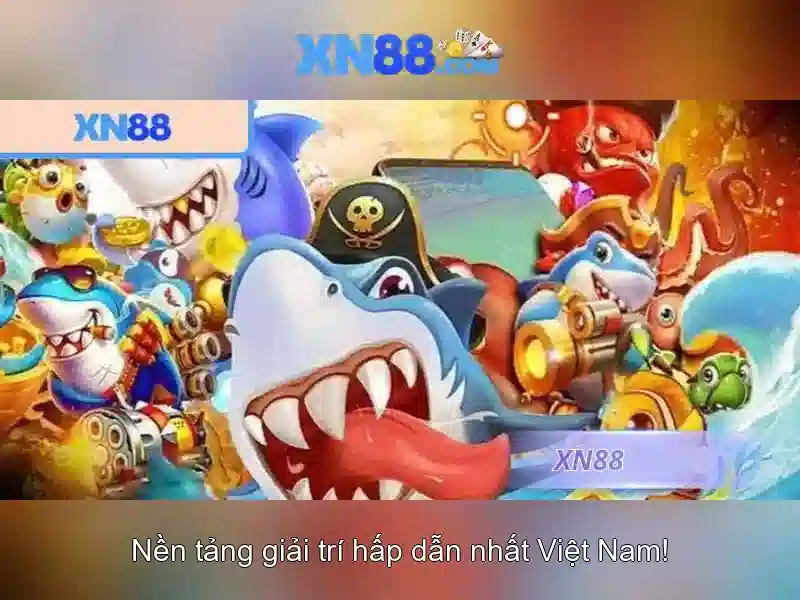 Giao diện và trải nghiệm người dùng