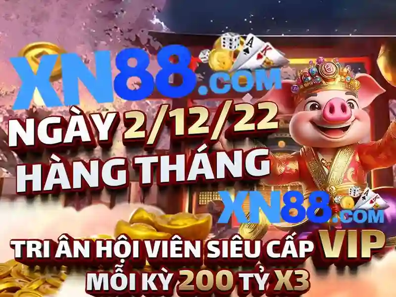 Khuyến mãi và hỗ trợ khách hàng