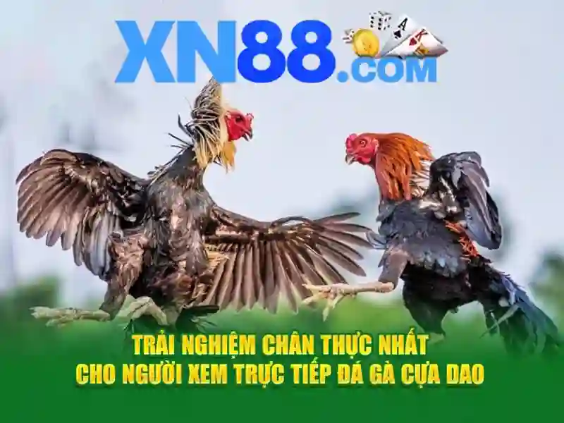 An toàn và quản trị người dùng